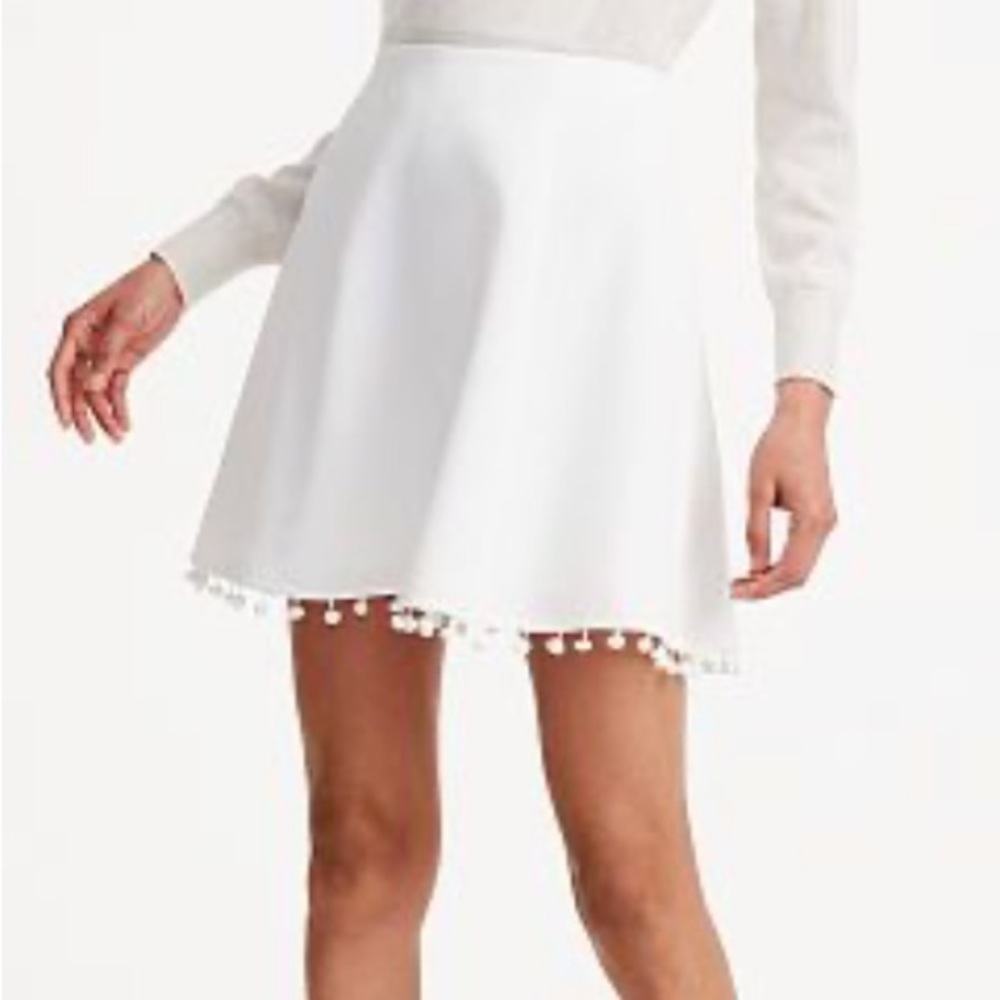 Club Monaco Fleuris Skirt